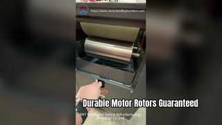 Motor Rotor Impregnation Machine for Durability