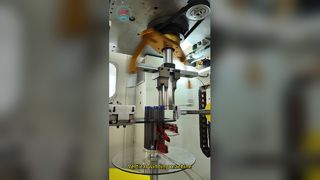 Fully Automatic Stator Winding Machine SMT Series
