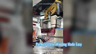 Automatic Vertical Stator Winding Machine for Motor Production